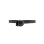 Capteur de Pression des Pneus Pour Ford Galaxy II Mondeo IV S-Max 1383584