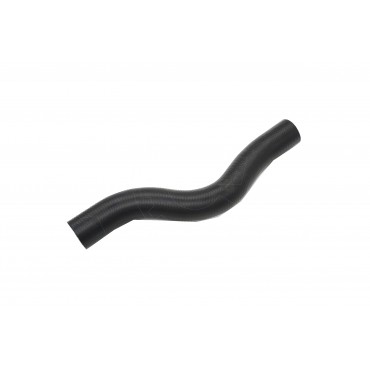 Durite d'Eau Pour Bmw Série 2 E10 3 E21 Citroën Ax Geo Tracker 19501PLC000