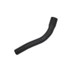 Durite d'Eau Pour Mitsubishi Lancer VII 1.3 1.6 2003-2013 MN135915