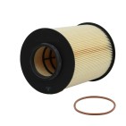 Filtre à Carburant C3 C4 C5 Jumpy DS3 B-MAX C-MAX Focus Galaxy Mondeo 9801366680