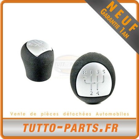 Pommeau Levier De Vitesse Chromé Pour Renault Clio 2 Kangoo Twingo