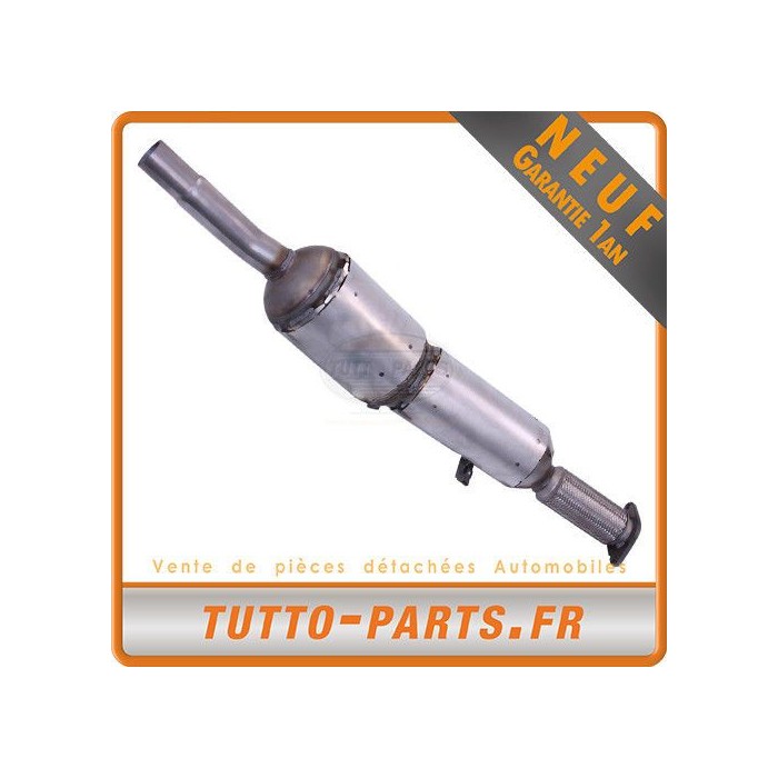 Filtre à Particules FAP RENAULT Fluence Mégane III  Scénic/Grand 200101350R