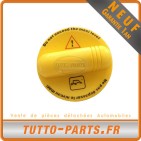 Bouchon d'Huile Velsatis Master Laguna Kangoo
