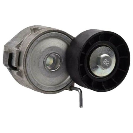 Galet tendeur courroie accessoire C5 Ulysse C-MAX Focus 4007 407 S80 1613840780