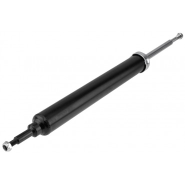 Amortisseur Arrière Pour Bmw X1 33526851342 33526855243 33526793714 33526788496