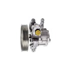 Pompe de Direction Assistée Pour Land Rover Freelander II Volvo S80 36000120