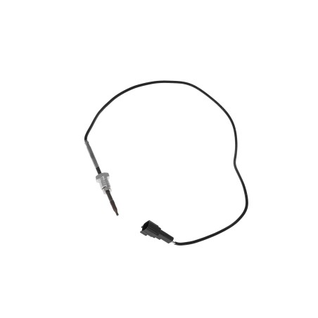 Sonde Température des Gaz Pour Ford Tourneo Transit BK2A12B591AB 1792122