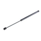 Vérin de Coffre Pour Citroën C3 I Nissan Micra V 8731K9 904505FA1A 8731G3