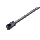Vérin de Coffre Pour Ford Focus III 2012-2020 1718369 1708918 1718369 1708918