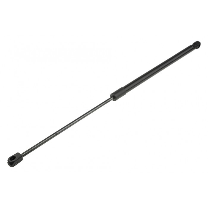 Vérin de Coffre Pour Ford Fiesta V 2001-2010 1224731 1141159
