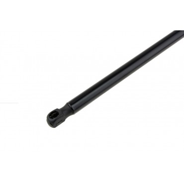 Vérin de Coffre Pour Ford Focus III 2010-2020 1703822 1848164 1751678 1738980