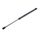 Vérin de Coffre Pour Hyundai I20 I 2008-2015 817704P000 817804P010 817704P010