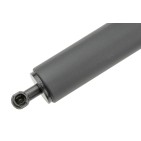 Vérin de Coffre Pour Mercedes Classe M A1647400345 A1647400445 1647400445