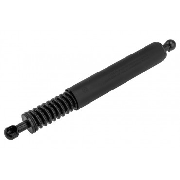 Vérin de Coffre Pour Mercedes Classe R 2519801064 A2519801064 2517400245
