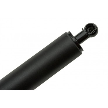 Vérin de Coffre Pour Mercedes Classe R 2519801064 A2519801064 2517400245