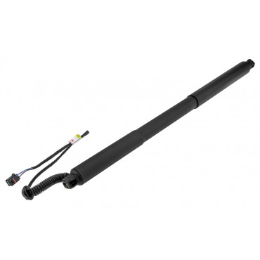 Vérin de Coffre Pour Porsche Panamera 2016-2023 971827851D 971827851B 971827851