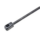 Vérin de Coffre Pour Renault Megane Scénic Scénic I 7700434465