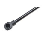 Vérin de Coffre Pour Renault Laguna II 2001-2007 8200003020