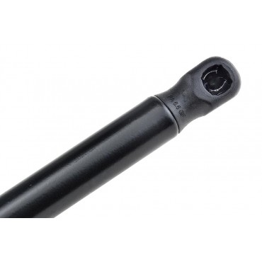 Vérin de Coffre Pour Renault Megane III 2008-2017 904510001R