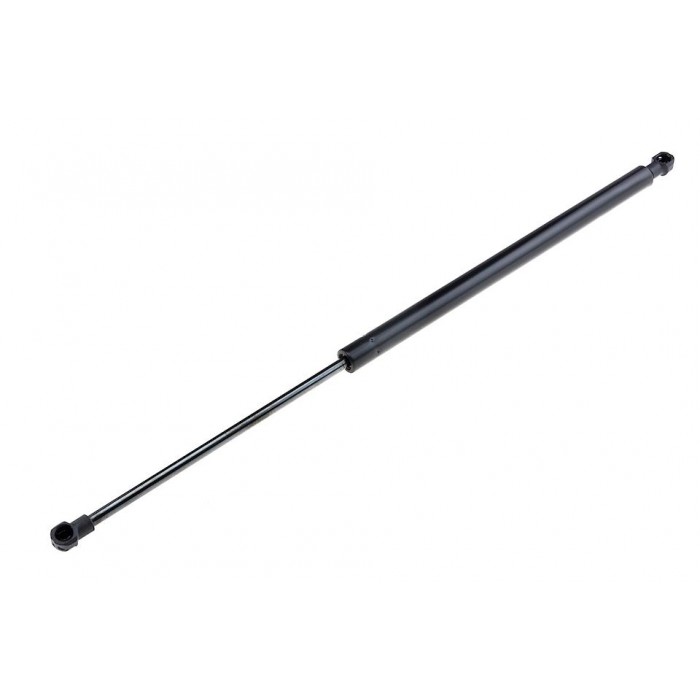 Vérin de Coffre Pour Renault Modus Grand Modus 2004-2011 8200219322