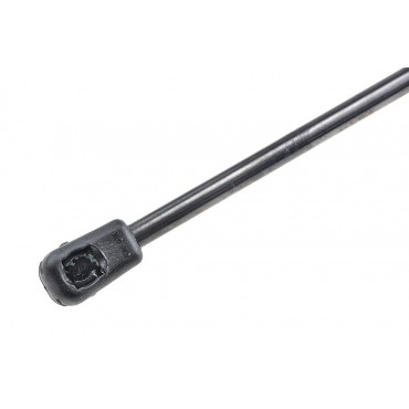 Vérin de Coffre Pour Renault Clio III 2007-2014 8200583852