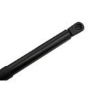 Vérin de Coffre Pour Seat Toledo II 1998-2006 1M5827550A 1M5827550B 1M5827550