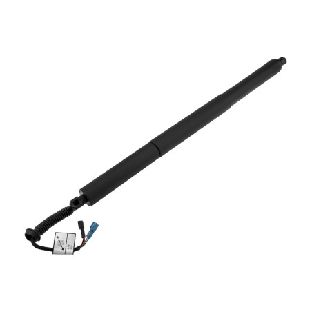 Vérin de Coffre Droit Pour Bmw X1 F48 51247481807