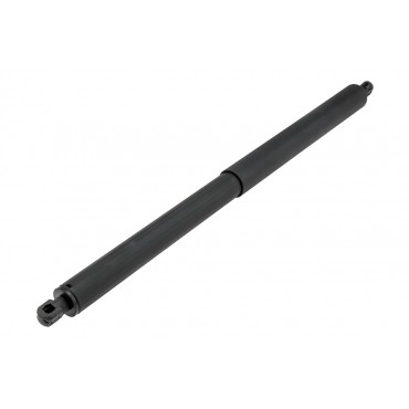 Vérin de Coffre Gauche Pour Bmw X1 F48 51247481803