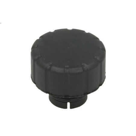 Bouchon Réservoir Liquide de Refroidissement Pour Mercedes Classe A A1685010115