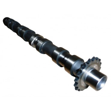 Arbre à Cames Pour Citroën C4 C5 C8 Fiat Scudo Ulysse Ford C-Max 0801AC