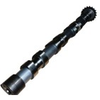 Arbre à Cames Pour Citroën C4 C5 C8 Fiat Scudo Ulysse Ford C-Max 0801AC