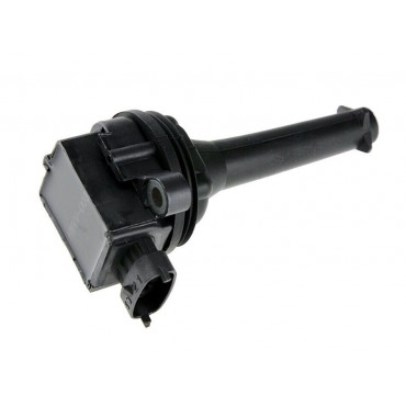 Bobine d'Allumage VOLVO C70 S60 S70 S80 V70 XC70 CROSS COUNTRY XC90 30713416