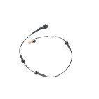 Cables Fils electriques Pour Renault Master III 2407500Q2D