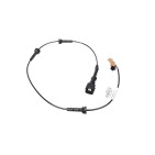 Cables Fils electriques Pour Renault Master III 2407500Q2D