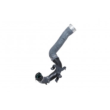 Durite d'Admission d'Air Pour Renault Grand Scénic IV Megane IV 144607476R