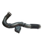 Durite d'Admission d'Air Pour Renault Espace V Fluence Megane III IV 165755972R