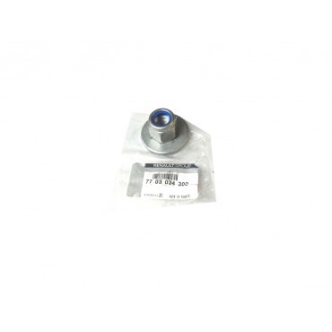 écrou Fixation Amortisseur Arrière Pour Renault Master III 7703034302