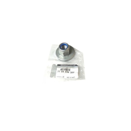 écrou Fixation Amortisseur Arrière Pour Renault Master III 7703034302