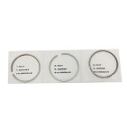 Jeu Segments de Piston Pour Nissan Interstar Primastar Primera 12033AW300