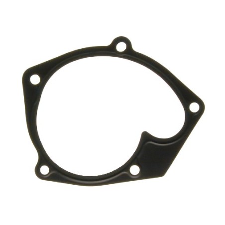 Joint de Pompe à Eau Pour Dacia Dokker Sandero II Nissan Juke Note 210147197R