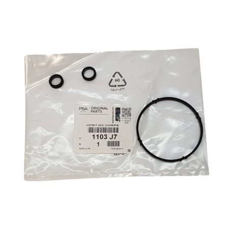 Joint Radiateur d'Huile Pour Citroën Berlingo C-Elysee C2 C3 C4 I Nemo 1103J7