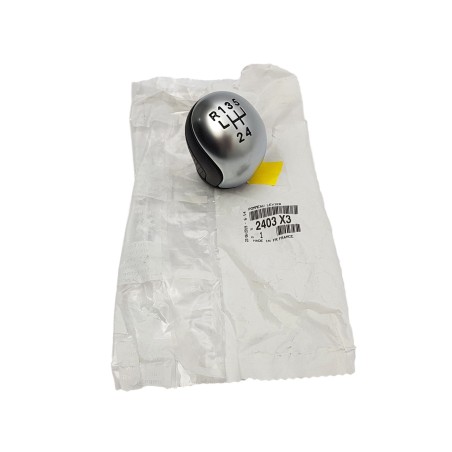 Pommeau Levier de Vitesse Pour Citroën C5 I II 2001-2008 2403X3