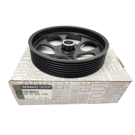 Poulie Pompe de Direction Assistée Pour Renault Duster 491329671R