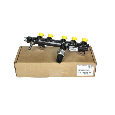 Rampe d'Injection Pour Citroën C4 II Ds5 Jumpy III Ford Mondeo V 9674300080