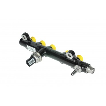 Rampe d'Injection Pour Citroën C4 II Ds5 Jumpy III Ford Mondeo V 9674300080