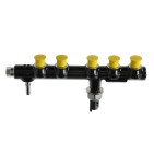 Rampe d'Injection Pour Citroën C4 II Ds5 Jumpy III Ford Mondeo V 9674300080