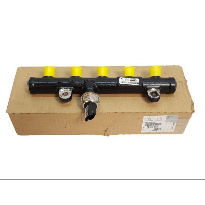 Rampe d'Injection Pour Citroën Berlingo C2 C3 I II C4 I C5 II III 1570N5