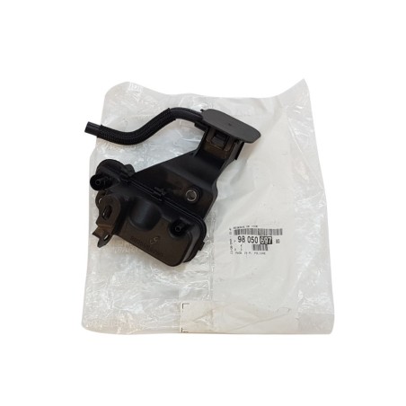 Sphère Accumulateur Pour Citroën C4 II C5 III Ds4 Ds5 Grand C4 9805069780