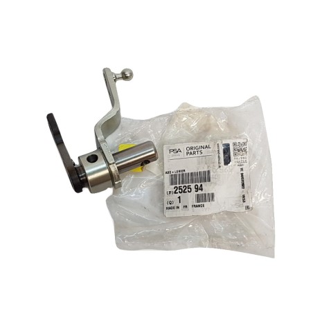 Support de Changement de Vitesses Pour Peugeot 206 1998-2012 252594