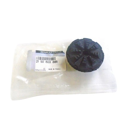 Support Fixation Radiateur Pour Renault Twingo III 215060386R